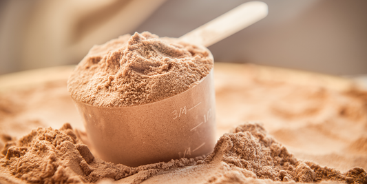 Protein Powder for Bariatric Patients: What to Look For