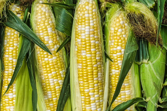 Is Corn a Low-FODMAP Food? 