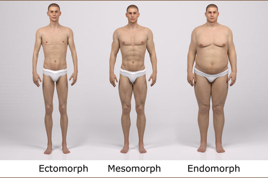 Male Body Types: Endomorph, Ectomorph & Mesomorphs